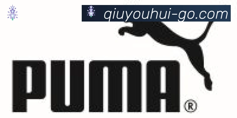 球友会体育合作伙伴